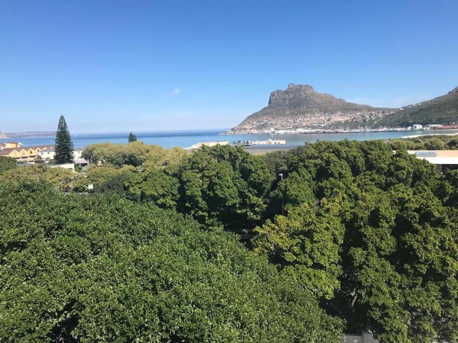 Chapman'S Peak, Loft Mit Sea-Und Mountainview Διαμέρισμα Hout Bay Εξωτερικό φωτογραφία