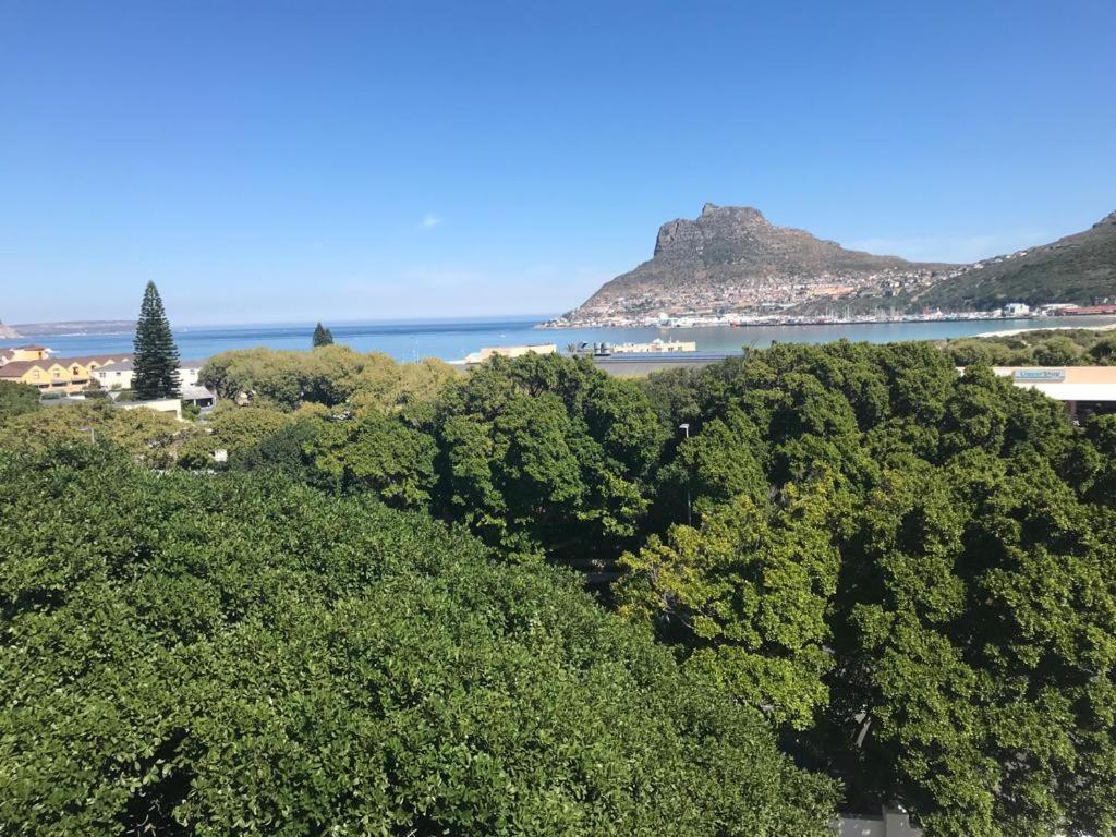 Chapman'S Peak, Loft Mit Sea-Und Mountainview Διαμέρισμα Hout Bay Εξωτερικό φωτογραφία